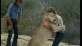 Christian the Lion - from cub to reunion, set to music & auroras