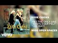 The Chicks - Am I the Only One (Who's Ever Felt This Way) (Official Audio)