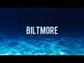 Biltmore, Whissell - Feel Something Good (Lyrics)