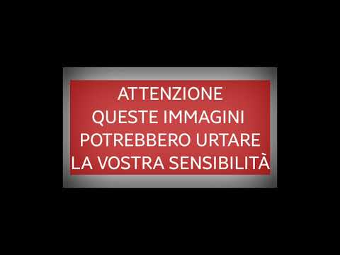 Le ragazze sommerse e i pescatori: le immagini choc di un naufragio fantasma