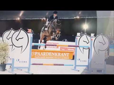 9 yo gelding by Rock Forever x Ars Vivendi  ; placed up to 1,40m *sold