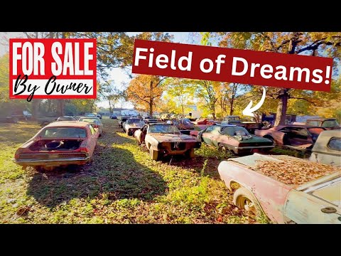INSANE Backyard Full of RARE Abandoned Muscle Cars!