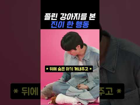졸린 강아지를 본 진이 한 행동 #진 #BTS