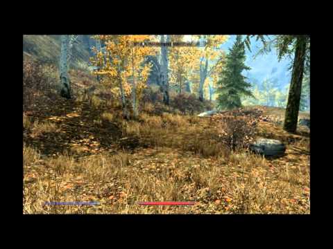 Let's Play TES V Skyrim  147 - Exploring