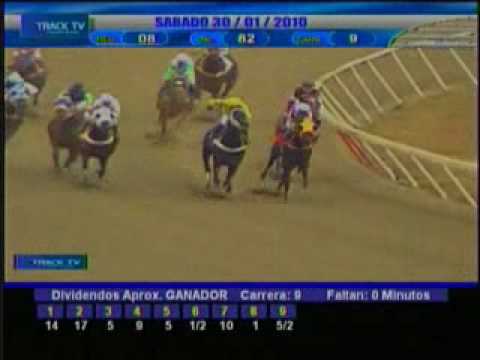 Resumen Sábado 30 de Enero 2010 - La Rinconada