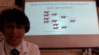Cover art for Selective Breeding