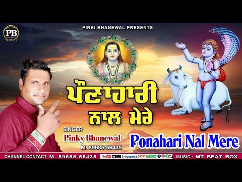 ਪੌਣਾਹਾਰੀ ਨਾਲ ਮੇਰੇ||Ponahari Nal Mere||Pinky Bhanewal||Baggu Rajumajra||Music MT BEAT Box