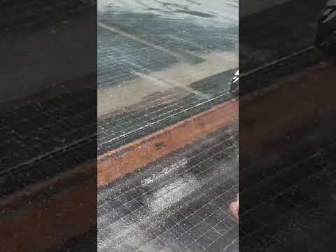 Wire Glass