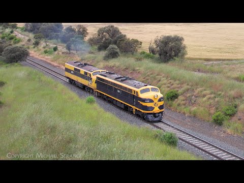 D741V SRHC S303 & SSR GM10 Light Engines (26/11/2022) - PoathTV Australian Trains & Railways