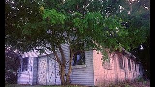 Jim Carlton - Imagine