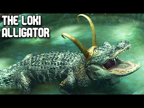 Loki - But it's only the Alligator (Mild Loki Spoilers)