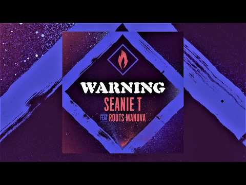 Seanie.T feat Roots Manuva - Warning
