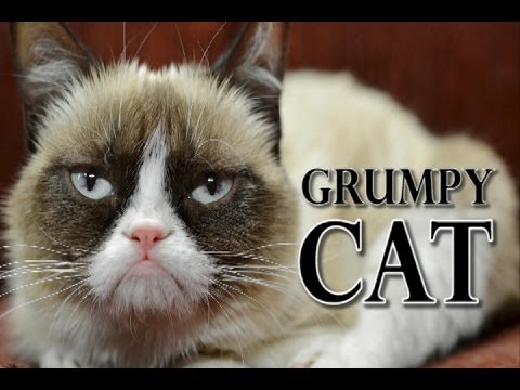 nienawidzewaswszystkichspierdalac’s Video 115797458631 cud1hRDcTI8