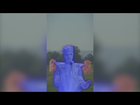 Meow Wolf launches ‘perspective-shifting’ hot air balloon