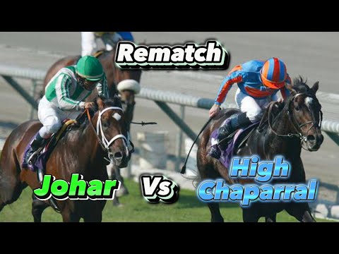 High Chaparral Vs Johar Who Would Win? 2003 Breeders Cup Turf Revisited