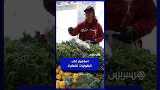 استمرار غلاء البقوليات الخضراء يثير غضب المستهلكين .. والتجار يوضحون  الشناقة والمضاربين هم السبب thumbnail