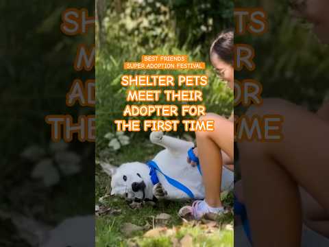 Falling in love at Best Friends Super Adoption in Northwest Arkansas