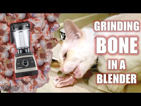 download lagu mp3 mp4 Ground Up Bones For Dogs, download lagu Ground Up Bones For Dogs gratis, unduh video klip Ground Up Bones For Dogs