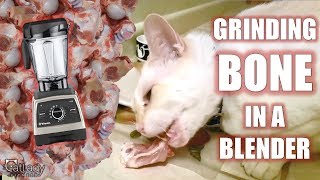 How to GRIND BONES at home (for homemade raw cat food!) - Cat Lady Fitness