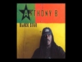 Anthony B - World a Reggae Music 