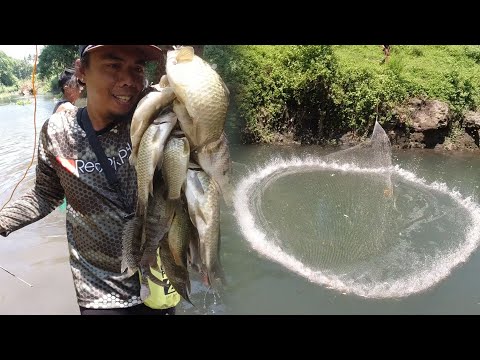 SE02EP048 Part 2 - PULUTONG ng TAWIS, HULI sa ISANG HAGIS  ( CAST NET FISHING ) | Tiaong Quezon