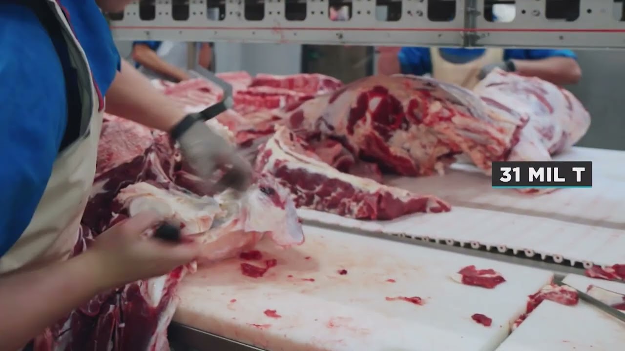 Carne bovina produzida em Mato Grosso chega a 88 países | Giro de Notícias