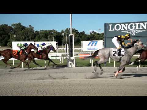 230108 c08 PLURALISMO