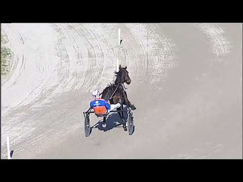 Napoli Trotto 23/01/2026 - 2ª prova di qualifica