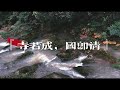 channel