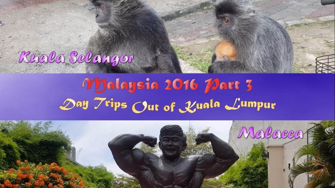 Tour of Malaysia 2016 Part 3: Kuala Selangor and Malacca