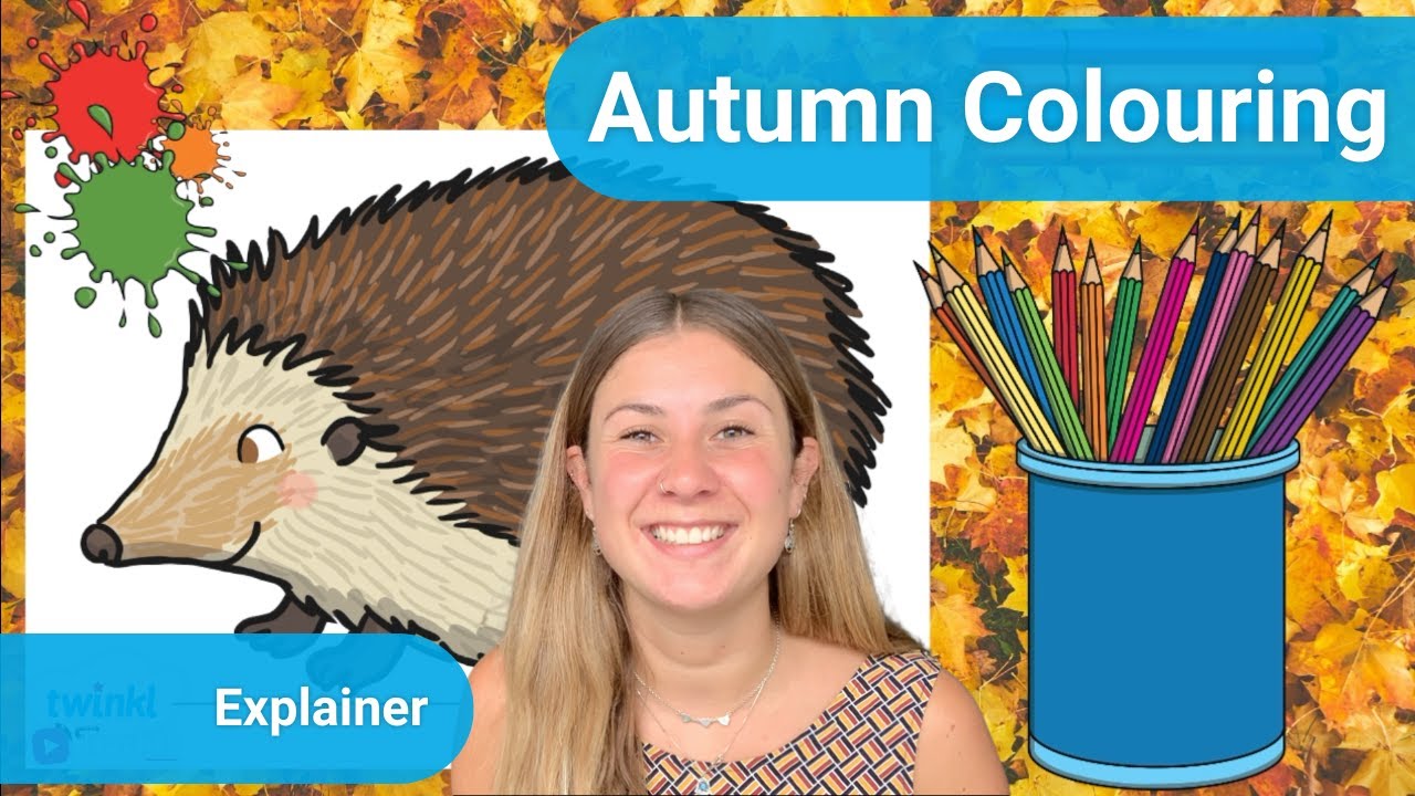 Fun Autumn Animals Colouring Pack
