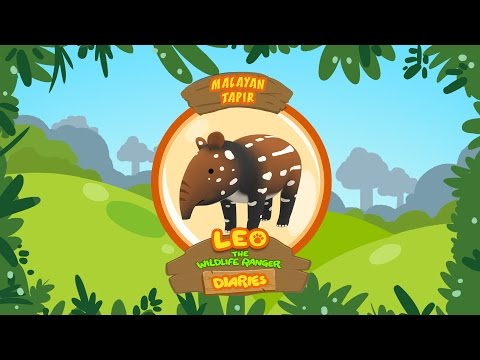 Witness21 Editor  2018 10 26