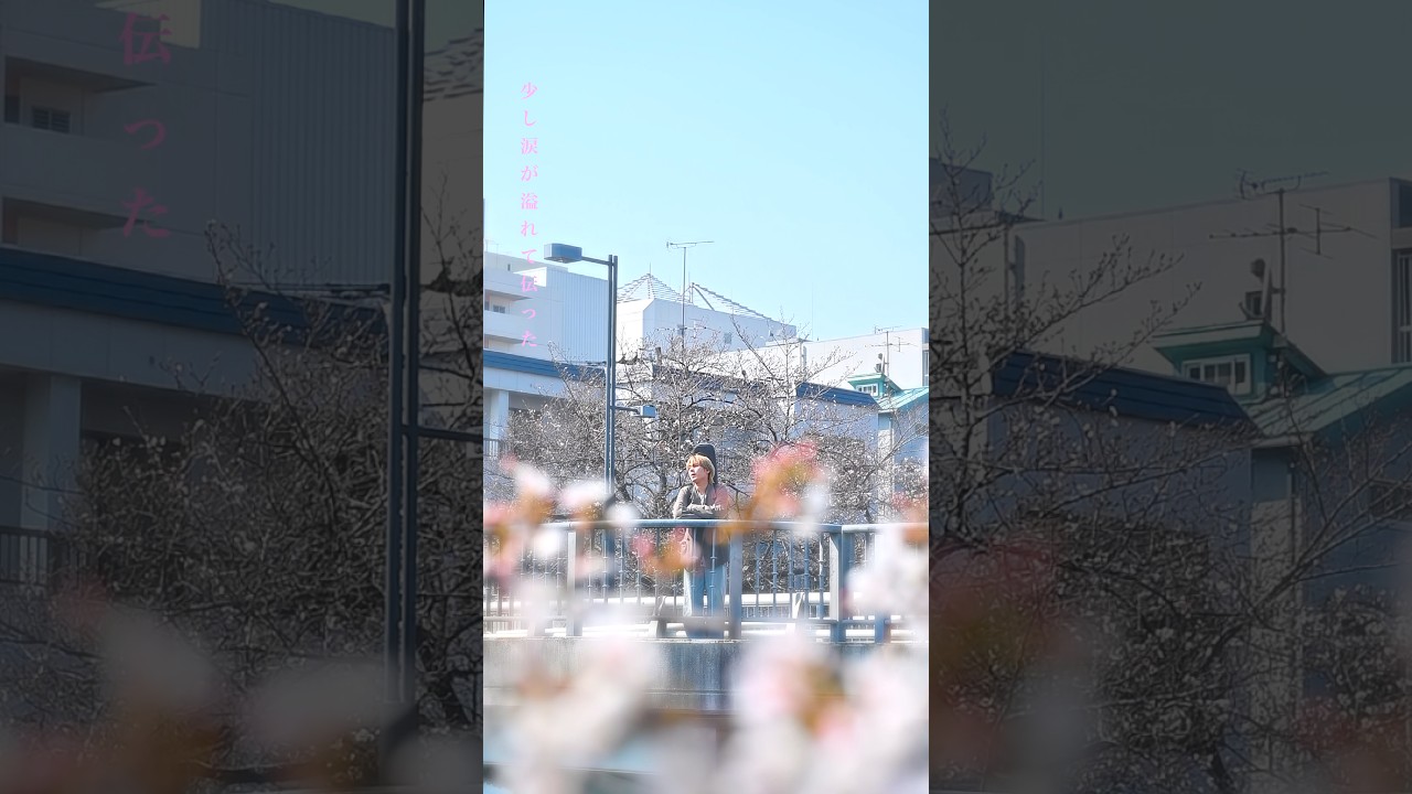 この春みんなに聴いて欲しいな。#春ソング #桜