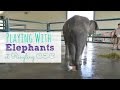 Playing With Baby Elephants At Ringling CEC