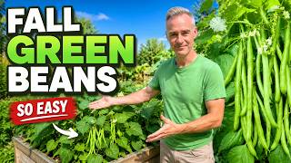 Plant Green Beans Now for a Big Fall Harvest