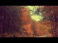 AR Rahman Love BGM WhatsApp Status VTV Bgm WhatsApp Status Vinnaithandi Varuvaya WhatsApp Status