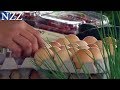 Naturwunder Und Powerfood Fakten Zum Ei Dokumentation Von NZZ Format 2007