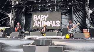 Baby Animals - Rush You (live) 17MAR24