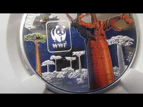 World Wildlife Fund Central African Republic 100 francs Silver Plated NGC Graded Coin Collecting