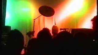 Pansy Division - Groovy Underwear