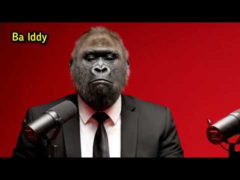 Ba iddy's Interview featuring ba domi 