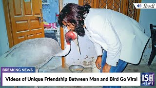 Videos of Unique Friendship Between Man and Bird Go Viral