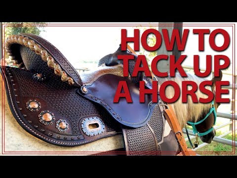 How to Saddle a Horse (Western Style) | Jeffers Equine