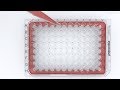 Eppendorf Cell Culture Plates