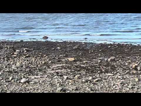 Wollaston beach Quincy, MA