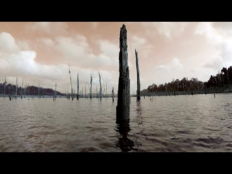 La Reina - 3 thousand Rivers opera by Victor Gama