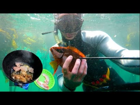 download lagu mp3 mp4 African Butter Fish, download lagu African Butter Fish gratis, unduh video klip African Butter Fish