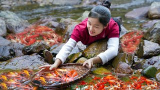 Harvest KOI FISH goes to the market sell - Cooking - Gardening | Ella 