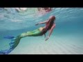 Swimming Mermaid with Whale Sharks 