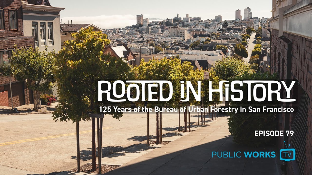 Rooted in History: 125 Years of the Bureau of Urban Forestry in SF - Public Works TV Episode No. 79